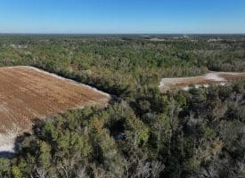 203 Acres of Industrial, Recreational or Timber Management Land in Maxton, NC