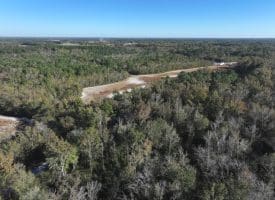 203 Acres of Industrial, Recreational or Timber Management Land in Maxton, NC