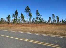 30+/- Acres Of Residential, Agricultural or Recreational Land For Sale in Robeson County NC