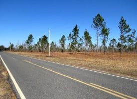 30+/- Acres Of Residential, Agricultural or Recreational Land For Sale in Robeson County NC