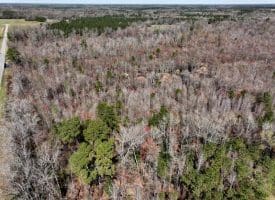 57 +/- Acres of Hunting Land For Sale in Robeson County NC