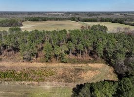 19+/- Acres of Farm and Residential Land For Sale in Robeson County, NC