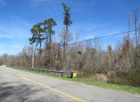 57 +/- Acres of Hunting Land For Sale in Robeson County NC