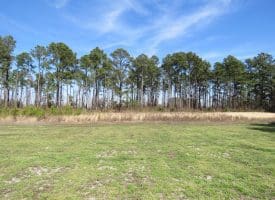 19+/- Acres of Farm and Residential Land For Sale in Robeson County, NC