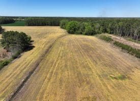 23+/- Acre Farm For Sale in Robeson County NC!