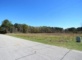 18+/- Acre Farm For Sale in Robeson County NC!