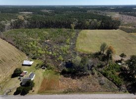 14+/- Acre Farm For Sale in Robeson County NC!