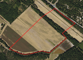 56+/- Acres of Farm Land For Sale in Bladen County NC!