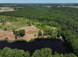 85+/- Acres of Hunting and Residential Land For Sale in Robeson County, NC