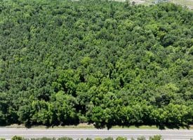62+/- Acres of Residential and Hunting Land For Sale in Robeson County, NC