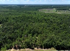 62+/- Acres of Residential and Hunting Land For Sale in Robeson County, NC