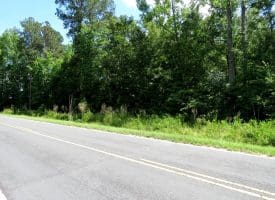 5+/- Acre Lot For Sale in Robeson County, NC!