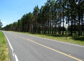 56+/- Acres of Farm Land For Sale in Bladen County NC!