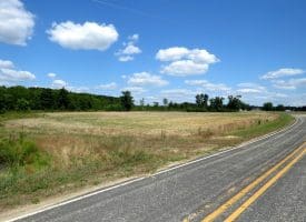 130+/- Acres of Farm Land For Sale in Robeson County NC!