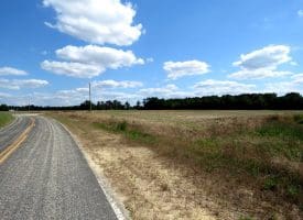 130+/- Acres of Farm Land For Sale in Robeson County NC!