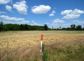 130+/- Acres of Farm Land For Sale in Robeson County NC!