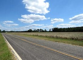 130+/- Acres of Farm Land For Sale in Robeson County NC!