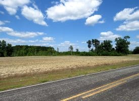 130+/- Acres of Farm Land For Sale in Robeson County NC!