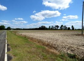 130+/- Acres of Farm Land For Sale in Robeson County NC!