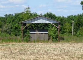 130+/- Acres of Farm Land For Sale in Robeson County NC!