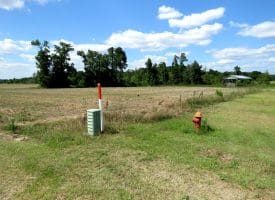 130+/- Acres of Farm Land For Sale in Robeson County NC!