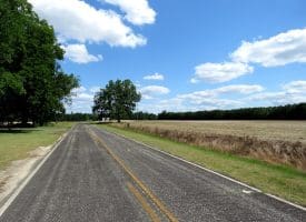 130+/- Acres of Farm Land For Sale in Robeson County NC!