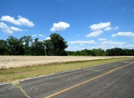 130+/- Acres of Farm Land For Sale in Robeson County NC!