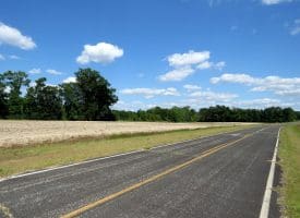 130+/- Acres of Farm Land For Sale in Robeson County NC!