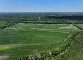 56+/- Acres of Farm Land For Sale in Bladen County NC!