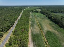 56+/- Acres of Farm Land For Sale in Bladen County NC!