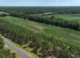 56+/- Acres of Farm Land For Sale in Bladen County NC!