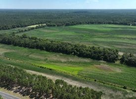 56+/- Acres of Farm Land For Sale in Bladen County NC!