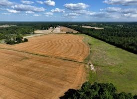 130+/- Acres of Farm Land For Sale in Robeson County NC!