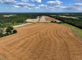 130+/- Acres of Farm Land For Sale in Robeson County NC!