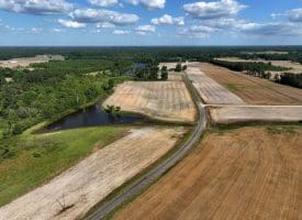 130+/- Acres of Farm Land For Sale in Robeson County NC!