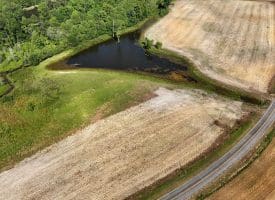 130+/- Acres of Farm Land For Sale in Robeson County NC!