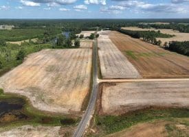 130+/- Acres of Farm Land For Sale in Robeson County NC!