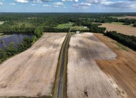 130+/- Acres of Farm Land For Sale in Robeson County NC!