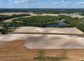 130+/- Acres of Farm Land For Sale in Robeson County NC!