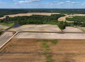 130+/- Acres of Farm Land For Sale in Robeson County NC!