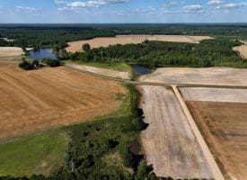 130+/- Acres of Farm Land For Sale in Robeson County NC!