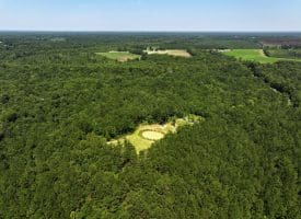 45+/- Acres of Hunting Land For Sale in Columbus County, NC!