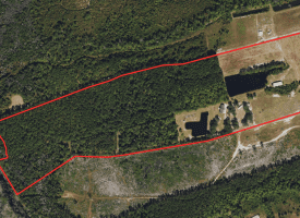 53+/- Acres of Recreational and Residential Land For Sale in Robeson County, NC