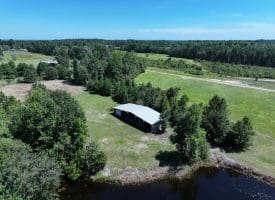 53+/- Acres of Recreational and Residential Land For Sale in Robeson County, NC