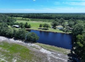 53+/- Acres of Recreational and Residential Land For Sale in Robeson County, NC