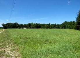 53+/- Acres of Recreational and Residential Land For Sale in Robeson County, NC