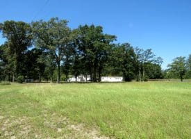 53+/- Acres of Recreational and Residential Land For Sale in Robeson County, NC