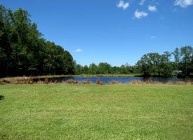 53+/- Acres of Recreational and Residential Land For Sale in Robeson County, NC