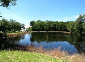 53+/- Acres of Recreational and Residential Land For Sale in Robeson County, NC