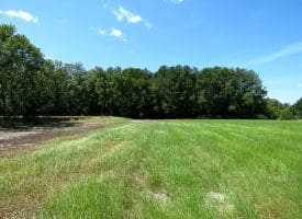 53+/- Acres of Recreational and Residential Land For Sale in Robeson County, NC